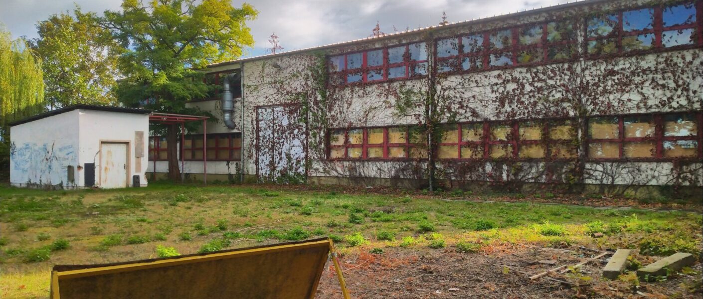 Das alte Werkstättengebäude, ein Beton-Bau mit roten Fenstern und mit Wein bewachsen geht über das gesamte Bild. Im Vordergrund ein Wiese und Holzreste.