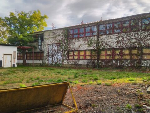 Volkspark Briesnitz mit oder ohne Werkstätten